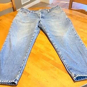 LL Bean insulated jeans